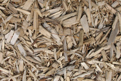 biomass boilers Skares